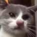 Profile picture for user Инь-янь