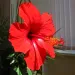 Profile picture for user Андрей Wind